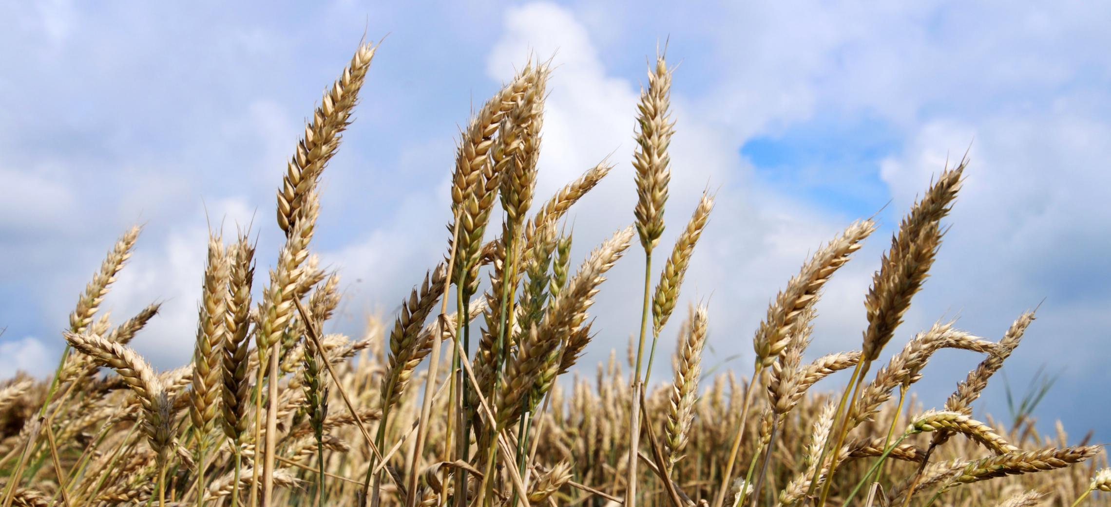 8318_by_martin_manigatterer_pfarrbriefservice_0 (c) Pfarrbriefservice