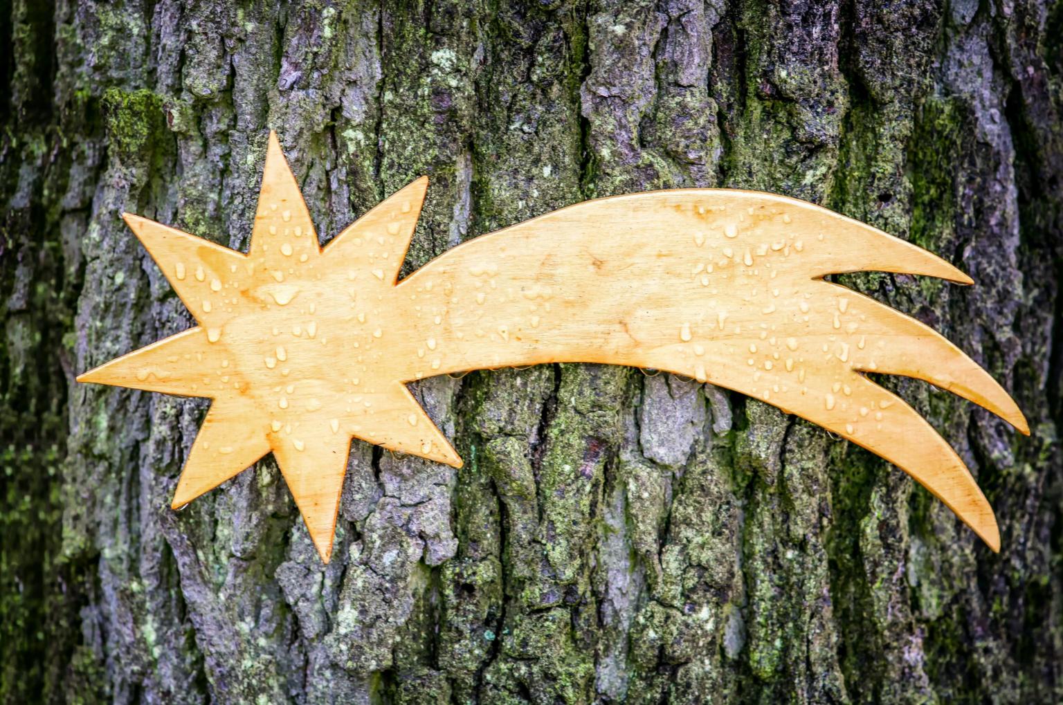 christmas-3893039_by_analogicus_pixabay_pfarrbriefservice (c) pixabay in Pfarrbreifservice.de